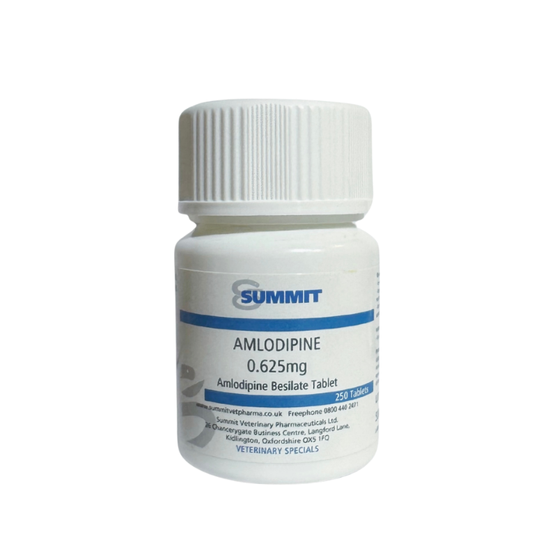 Amlodipine Besylate - First-Line Hypertension Treatment for Cats