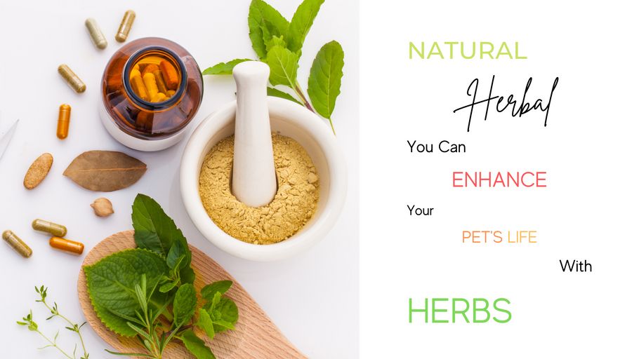 We have upgraded ourselves