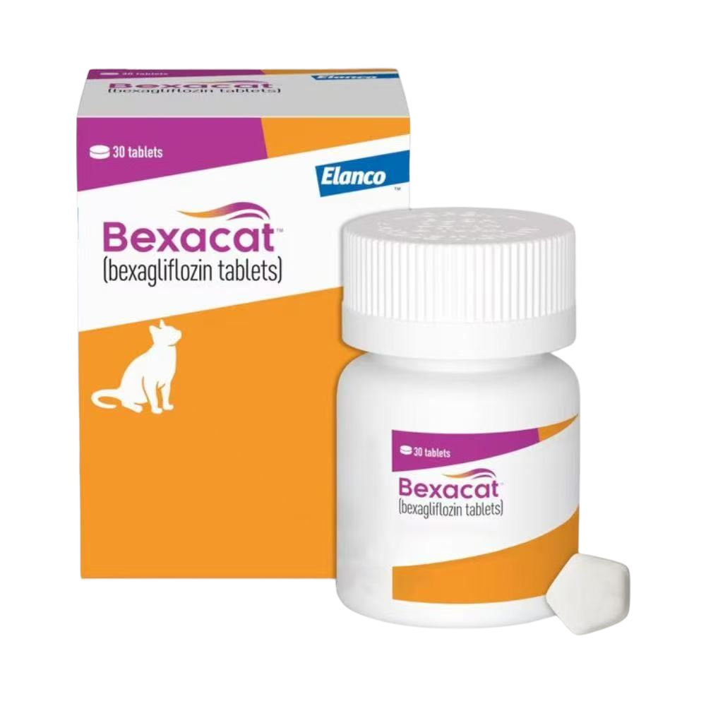 Bexagliflozin (Bexacat ™) - Advanced SGLT2 Inhibitor for Type 2 Diabetes