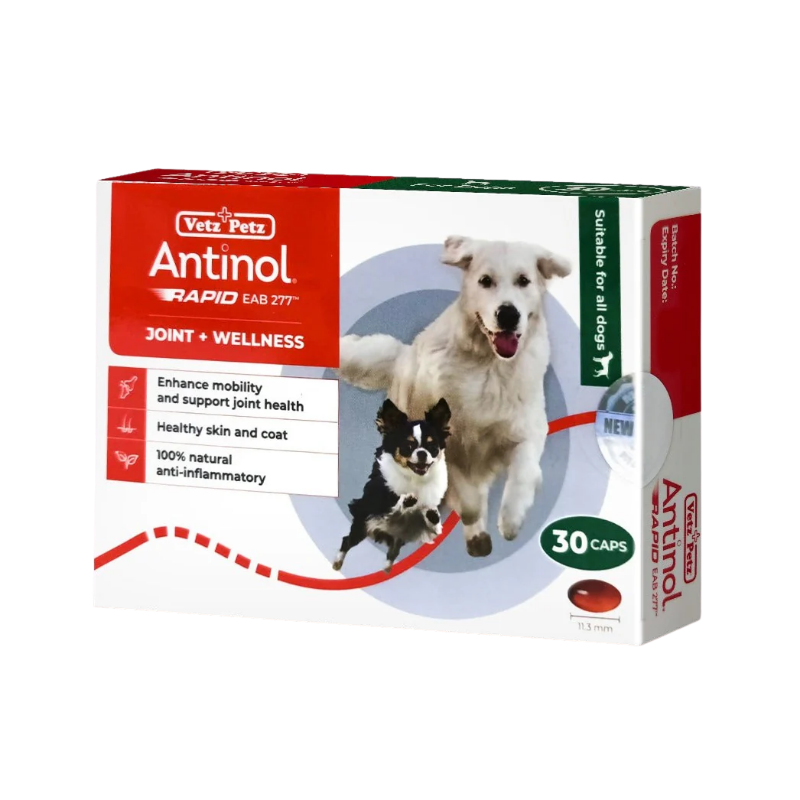 Antinol® Joint Wellness (EAB-277™) Capsules - Joint & Mobility Support for Dogs & Cats