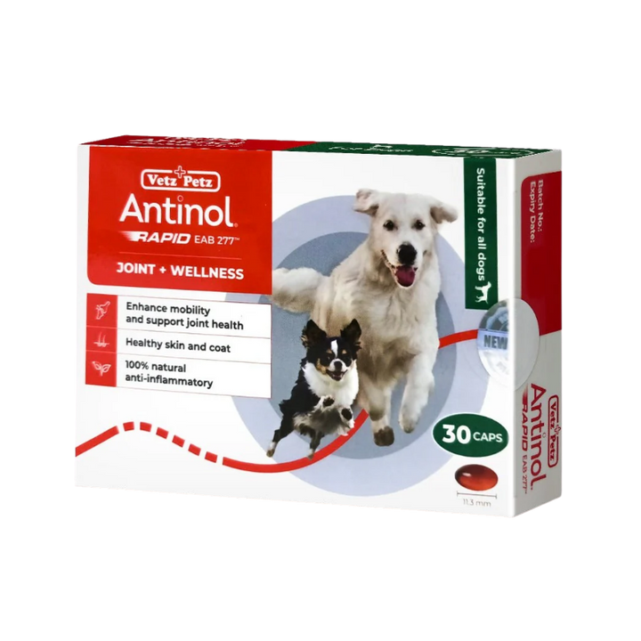 Antinol® Joint Wellness (EAB-277™) Capsules - Joint & Mobility Support for Dogs & Cats