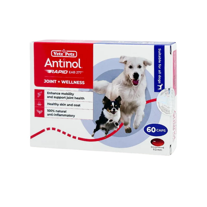 Antinol® Joint Wellness (EAB-277™) Capsules - Joint & Mobility Support for Dogs & Cats
