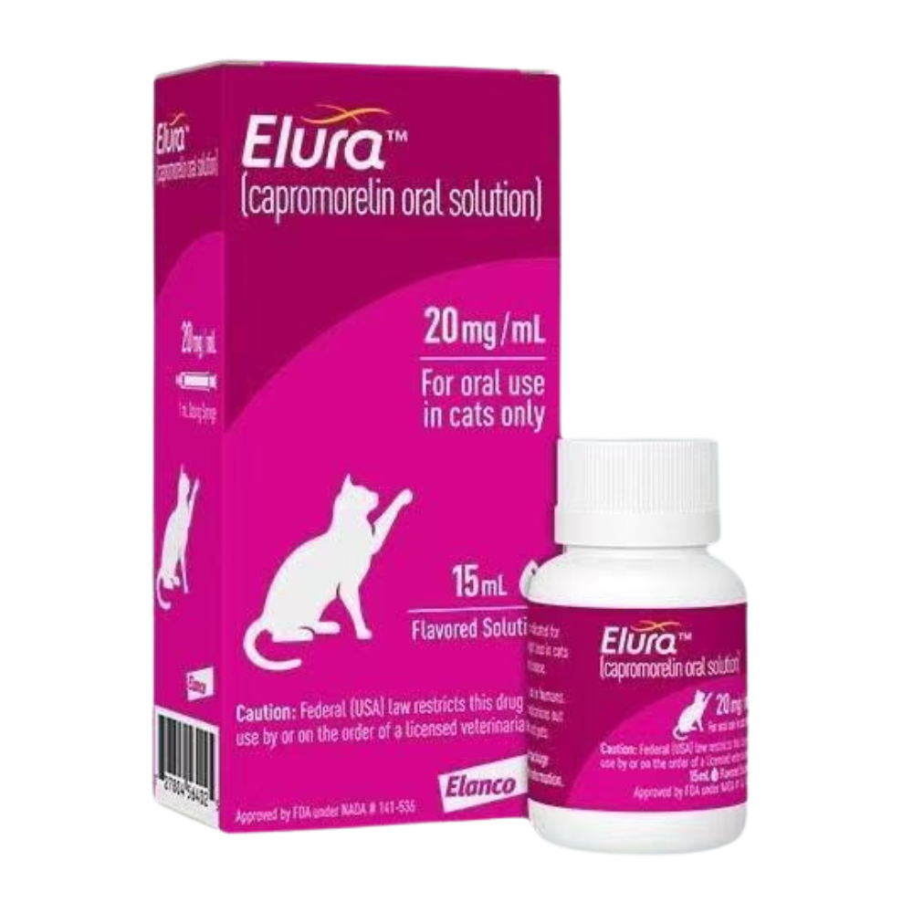 What Is Kidney Care Dog Food?