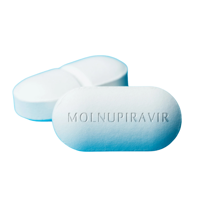 Molnupiravir (EIDD-2801)  - Antiviral Treatment for Feline Infectious Peritonitis (FIP)