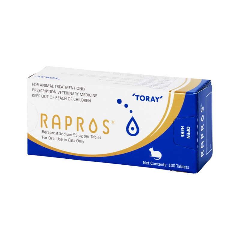 RAPROS (Beraprost) - Vasodilator Support for CKD
