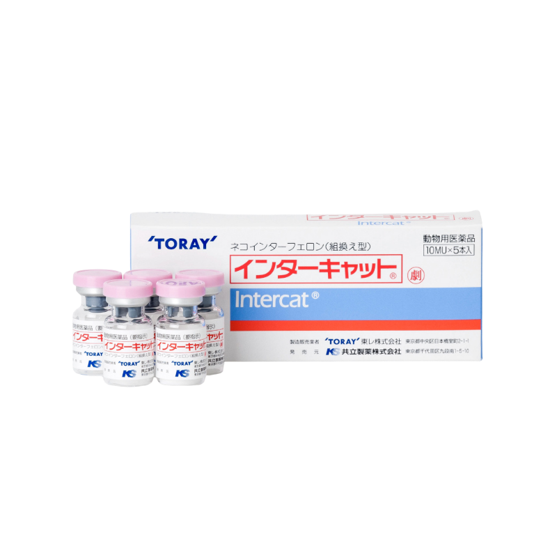 TORAY Intercat Interferon