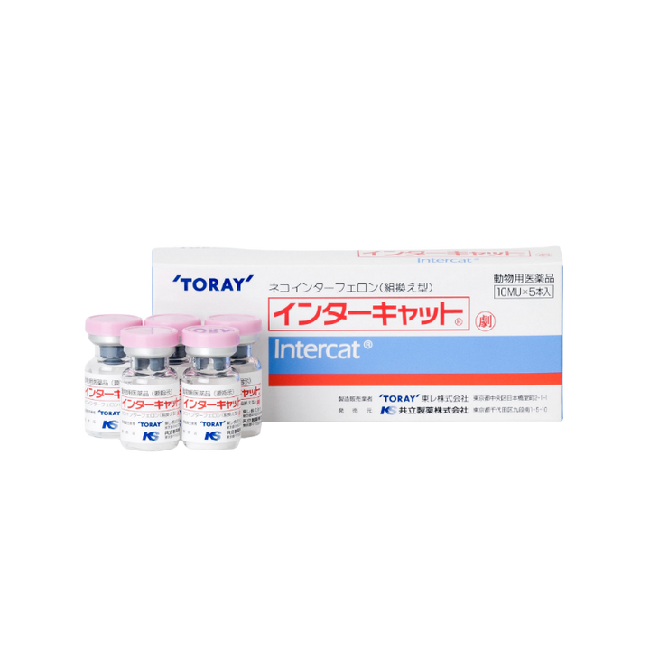 TORAY Intercat Interferon