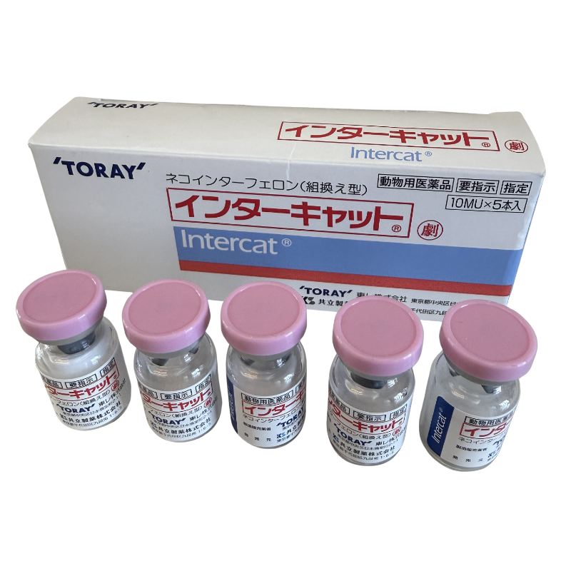 TORAY Intercat Interferon